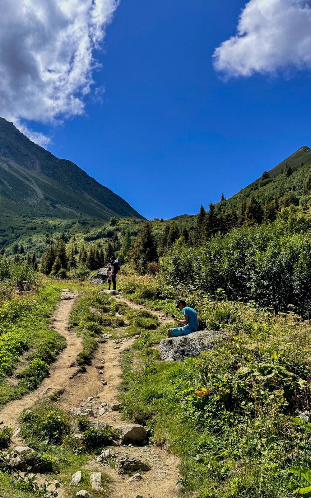 Randonneurs sur le sentier de Bionnassay entre Les Houches et Les Contamines, Tour du Mont-Blanc
