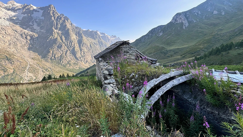 Ancien abri en pierre au milieu des alpages de Malatra, sur le Tour du Mont-Blanc.